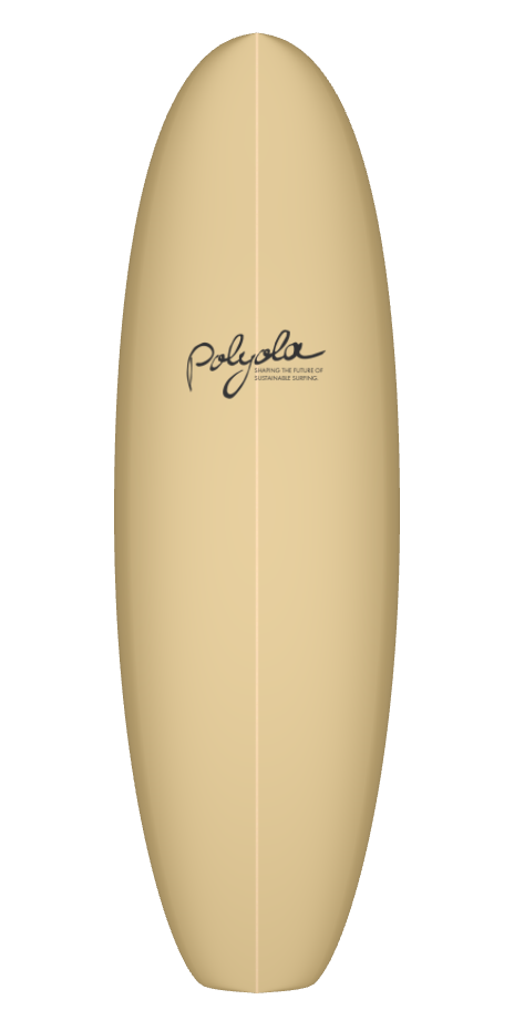 6_4 F FL - Adjusted [- 5I8 N I  - 3I8 T ]